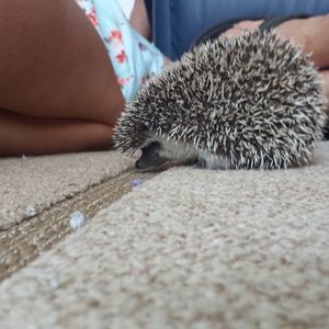 Meet your Posher, Carla